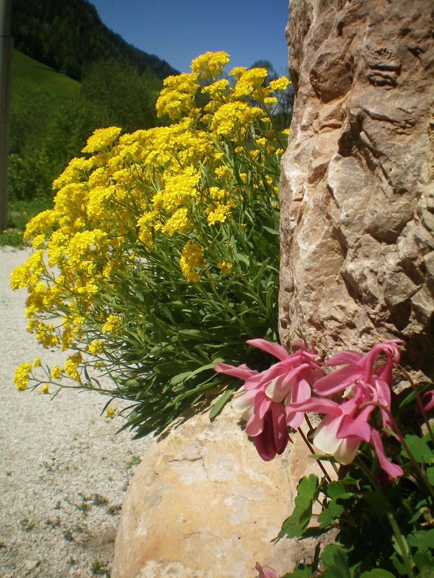 Villa Otto Santa Cristina Val Gardena Extérieur photo